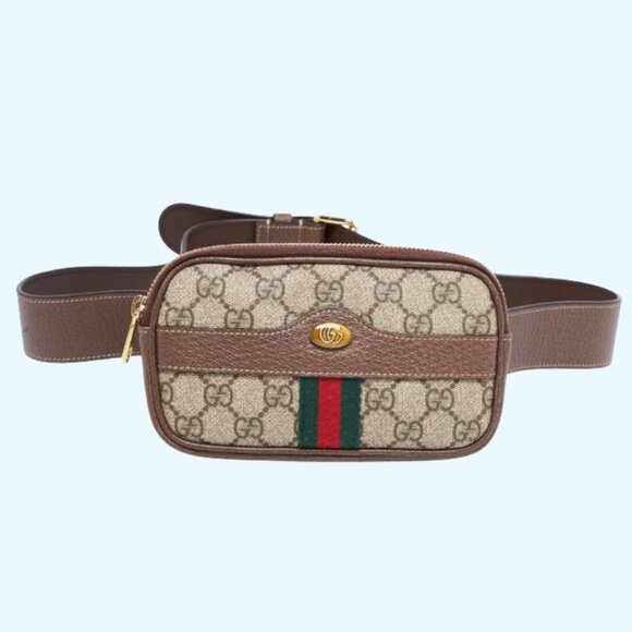 Gucci - GG Supreme Coated Canvas and Leather Ophidia Belt Bag - Picture 1 of 15